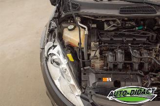 Ford Fiesta 1.25 Airco Titanium picture 31