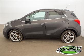 Opel Mokka 1.4T Clima Navi Camera Elek Dak Innovation picture 41