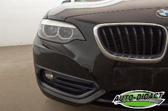 BMW 2-serie 218i Cabrio Clima Navi CARPAS picture 34