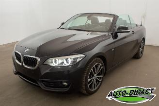 Schadeauto BMW 2-serie 218i Cabrio Clima Navi CARPAS 2017/8