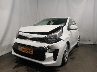 damaged passenger cars Kia Picanto Picanto (JA) Hatchback 1.0 DPI 12V (G3LD) [46kW]  (05-2024/...) 2024/1