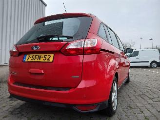Ford Grand C-Max Grand C-Max (DXA) MPV 1.0 Ti-VCT EcoBoost 12V 125 (M1DA(Euro 5)) [92kW=
]  (10-2012/06-2019) picture 5