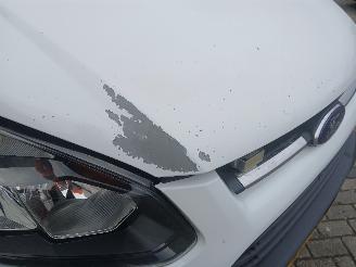 Ford Transit Transit Custom Van 2.2 TDCi 16V (DRFF) [74kW]  (04-2012/06-2016) picture 20