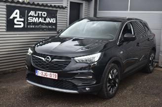 damaged passenger cars Opel Grandland 1.5 Turbo X Innovation 130Pk *Navi/Leder/Stoelverwarming/Camera/Panorama 2020/1