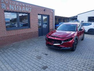 Mazda CX-30 SKYACTIVE X picture 1