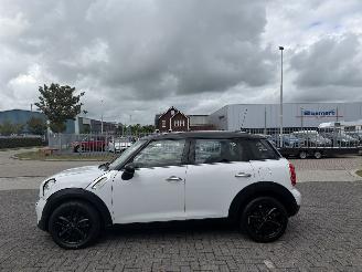 Mini Countryman 1.6 Cooper Edition Clima - Navi picture 7