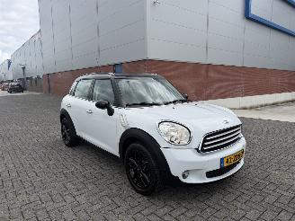 Mini Countryman 1.6 Cooper Edition Clima - Navi picture 2