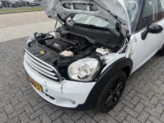Mini Countryman 1.6 Cooper Edition Clima - Navi picture 21