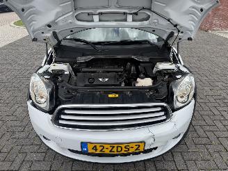 Mini Countryman 1.6 Cooper Edition Clima - Navi picture 20