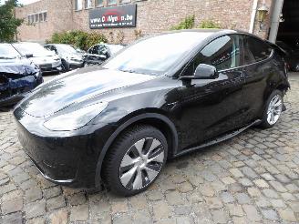 damaged passenger cars Tesla Model Y  2024/1