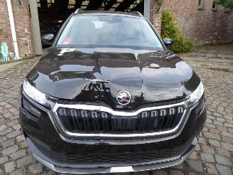 Skoda Kamiq Ambition picture 2