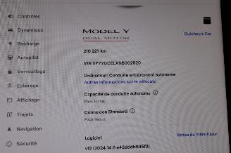 Tesla Model Y  picture 12