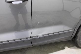 Volkswagen T-Roc  picture 8