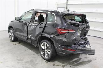 Skoda Karoq  picture 4