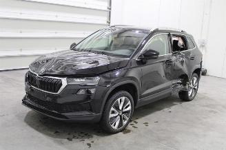 Schadeauto Skoda Karoq  2024/7