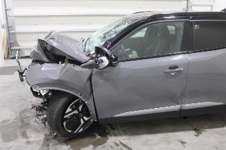 Peugeot 2008  picture 5