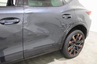 Cupra Formentor  picture 9