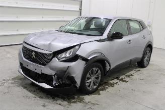 Peugeot 2008  picture 1