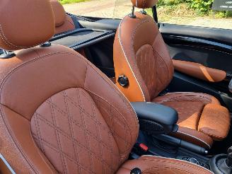 Mini Cooper S Cabrio Aut Navi Led Stoelverw picture 10