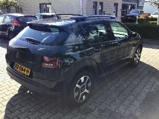 Citroën C4 cactus 1.6 blueHDI  business lichte schade picture 3