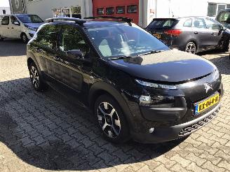 Citroën C4 cactus 1.6 blueHDI  business lichte schade picture 2