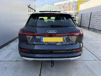 Audi E-tron 50 QUATRO Launch Edition Plus 71 kWh PANO-NAVI-LEDER picture 8