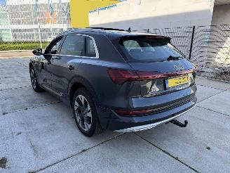 Audi E-tron 50 QUATRO Launch Edition Plus 71 kWh PANO-NAVI-LEDER picture 4