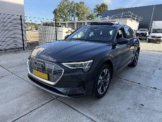 skadebil auto Audi E-tron 50 QUATRO Launch Edition Plus 71 kWh PANO-NAVI-LEDER 2019/12
