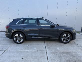 Audi E-tron 50 QUATRO Launch Edition Plus 71 kWh PANO-NAVI-LEDER picture 7