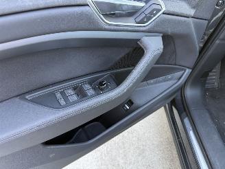 Audi E-tron 50 QUATRO Launch Edition Plus 71 kWh PANO-NAVI-LEDER picture 16