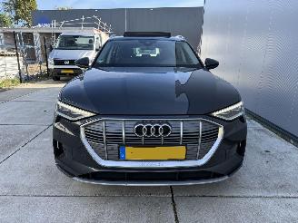 Audi E-tron 50 QUATRO Launch Edition Plus 71 kWh PANO-NAVI-LEDER picture 14