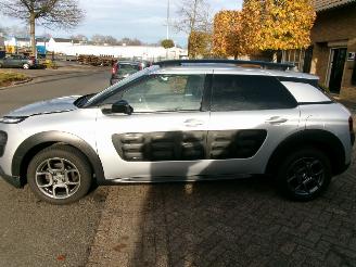 Citroën C4 cactus 1.2 PURETECH BUSINESS CLIMA NAVI PANO picture 2
