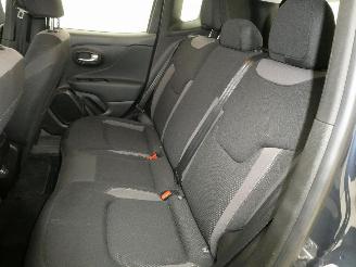 Jeep Renegade LIMITED picture 16