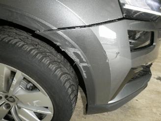 Skoda Karoq SELECTION picture 13