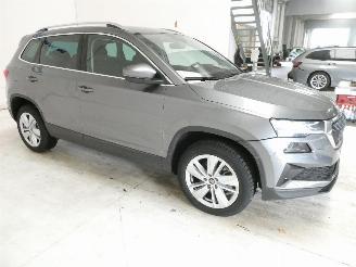 Skoda Karoq SELECTION picture 14
