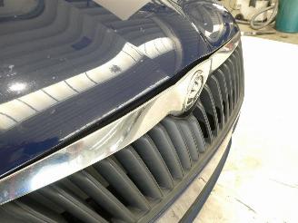 Skoda Fabia II ACTIVE picture 14