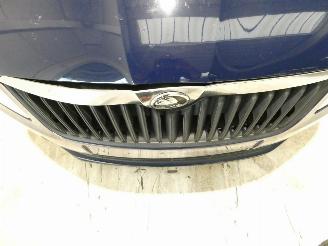 Skoda Fabia II ACTIVE picture 16