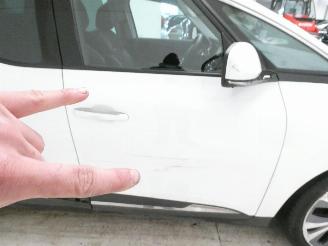 Renault Scenic IV INTENS picture 18