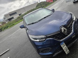 uszkodzony samochody osobowe Renault Kadjar  2019/1