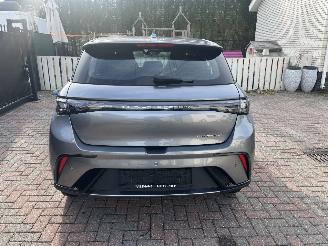 Vaurioauto  passenger cars BYD Dolphin ELEKTRO LEDER-CAMERA-KLIMATRONIK 2024/7