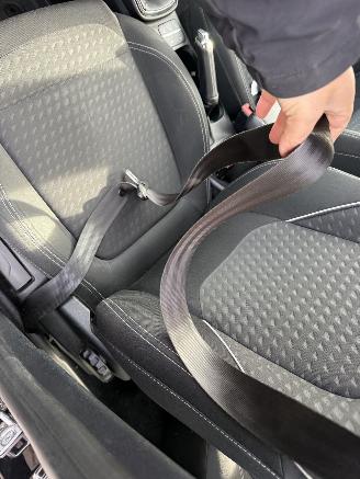 Ford Fiesta 1.0 EcoBoost Titanium picture 19