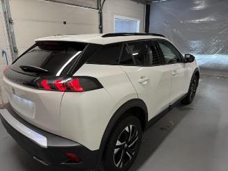 Peugeot 2008  picture 6