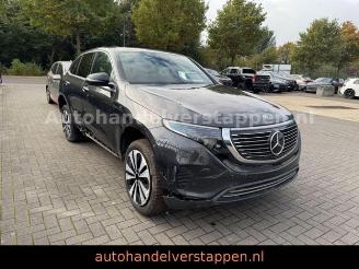 Avarii autoturisme Mercedes EQC 400 4Matic 80KWH 300KW Burm leder AHK 2022/11
