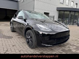 Coche accidentado Tesla Model 3 Model Y 235KW RwdFacelift Pano Leder LED FUL CAM 2024/12