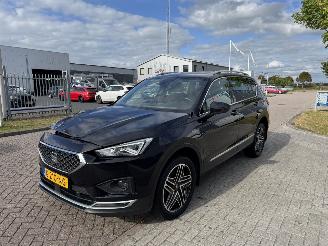 Auto incidentate Seat Tarraco 2.0 TDI 4DRIVE Xcellence 110 kw 2019/11