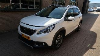Auto incidentate Peugeot 2008 30-11-2017 2017/1
