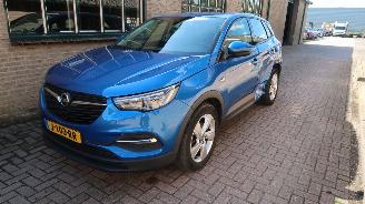 krockskadad bil auto Opel Grandland Opel Grandland X 1.2 Turbo 120 Jaar Edition 2019/6