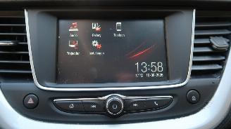 Opel Grandland Opel Grandland X 1.2 Turbo 120 Jaar Edition picture 12