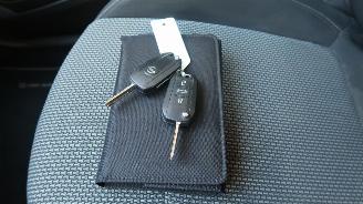 Opel Grandland Opel Grandland X 1.2 Turbo 120 Jaar Edition picture 17