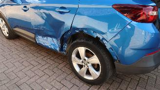Opel Grandland Opel Grandland X 1.2 Turbo 120 Jaar Edition picture 27